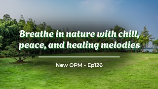 Back To Portland 🌳 Breathe in nature with chill, peace, and healing melodies ☕ Ep126