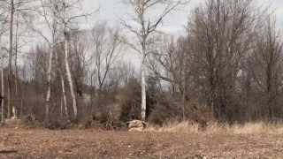 4 pounds of tannerite vs the worlds largest teddy bear