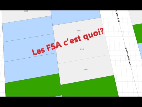 Vidéo: Qu'est-ce que le test d'écriture FSA ?