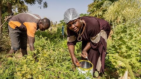 Introduction to Integrated National Financing Frameworks and Portfolios