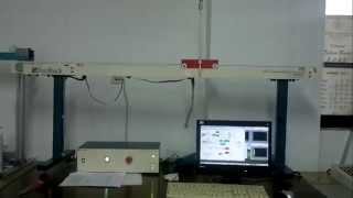 Fuzzy Tracking Control Design with Input-Output Constraints on Pendulum-Cart System