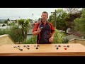 Hammer Basics and Tips | Mitre 10 Easy As DIY