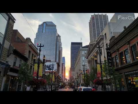 Bob Dylan 15-Aug-1990