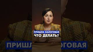 Что делать, если пришла налоговая проверка #налоги #налоговая #пробизнес