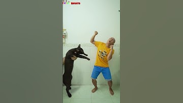 BiBoBen Shorts | Funny battle | Trận đấu không cân sức 😅😂🤣