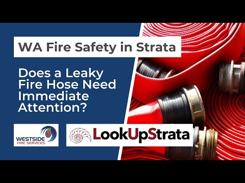 WA: Q&A Does a Leaky Fire Hose Need Immediate Attention? | LOOKUPSTRATA