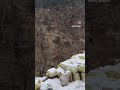 enjoying track of malana#waichin valley#himachal pradesh#vedas cafe#viral #ytshorts #shorts #video