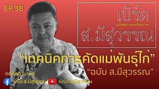 EP. เทคนิคการคัดแม่พันธุ์ไก่