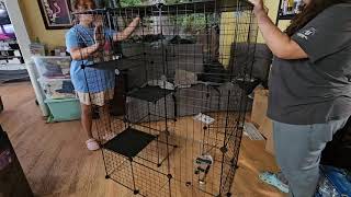 Indoor or Outdoor Cat Cage