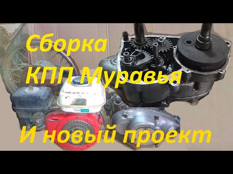 Сборка КПП Муравья ТМЗ для нового проекта