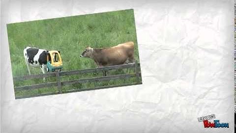 Creative Problem Solving - Part 2