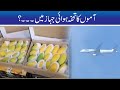 WOW!! Mangoes Gift On Special Flights