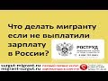 Что делать мигранту, если не выплатили зарплату в России?