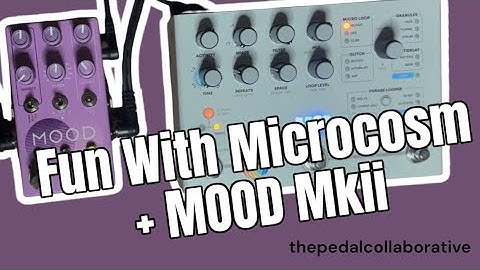 Fun with the #Microcosm and Chase Bliss Mood MKII Combo #stereo #demo #latenight #insomnia