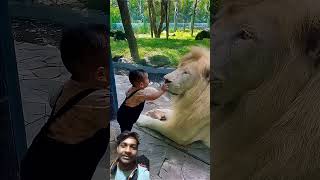 Me At The Zoo |Bilall Cooking