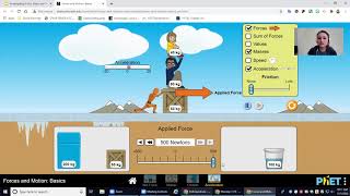Force, Mass, and Acceleration Interactive