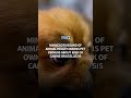 Minnesota Board of Animal Health warns pet owners about risk of canine brucellosis