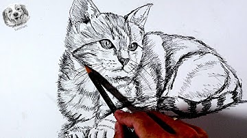 How to Draw a Realistic Cat with Just One Pencil ✏️ | Easy Art Tutorial