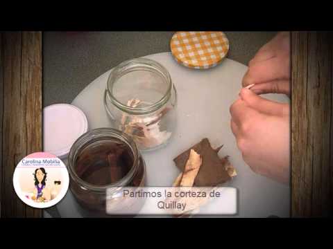 Extracto de Quillay, receta rápida.
