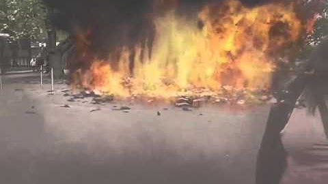 The best FX Guru video on the planet!