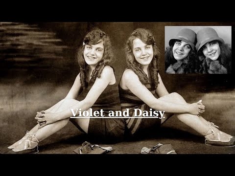 Video: Daisy Hilton: Biografi, Kreativiti, Kerjaya, Kehidupan Peribadi