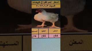 اسعار الفراخ البيضاء في مصر السبت 3-6-2023