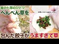 ぺんぺん草を包んだ餃子がうますぎて草