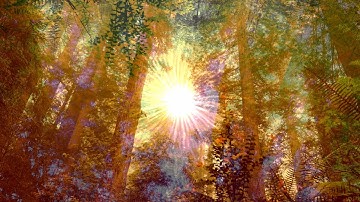 Sonicfactory - Unearthed