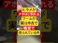 ヒラメがアホ程釣れるワームが実は中古で格安で売られている件【ワームの刺し方】ジグヘッド編