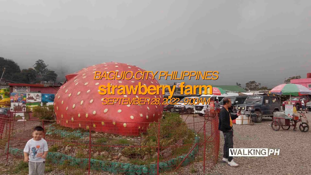 Strawberry Farm Baguio 2022 4k PHILIPPINES YouTube