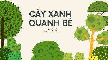 Cây Xanh Quanh Bé