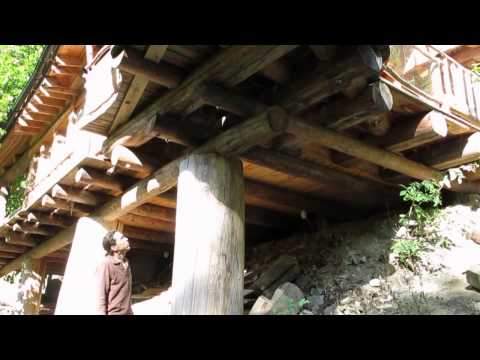 Video: Jaký druh dřeva se používá pro pilíře?