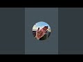 Shehzadi_003 is live