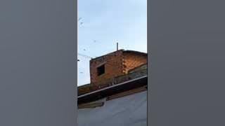 my swiftlet farm house at Ninh Thuah (Viet Nam)