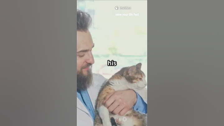 poor man's help, always be kind #kindness#cat#poor man #friendship