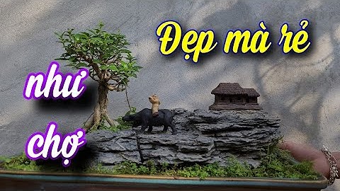 SH.5998. Nhiều tiểu cảnh và bonsai mini đẹp giá rẻ tại Hùng vĩ Bonsai. Đth liên hệ 0378.393.438.