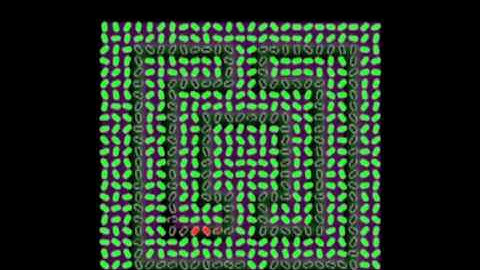 Constructing and Solving a Cellular Maze