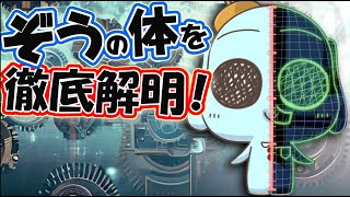 んごんごアニメの主人公の謎を徹底的に研究させていただきます！【アニメ】