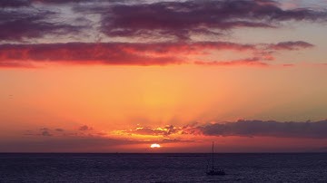 Video 4k Ultra Cảnh Hoàng Hôn Buông Đẹp Ngất Ngây - VIDEO 4K