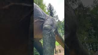 Dinosaurier Vibes Styrassic Park