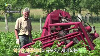 [6차산업 해외 우수사례] 독일 베리과일조합