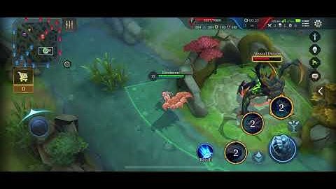AoV footage 60 FPS