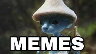 SMURF CAT MEMES COMPILATION