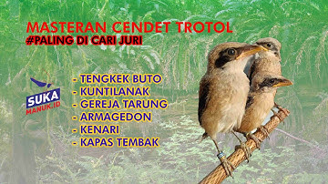 REKOMENDASI MASTERAN CENDET TROTOL TERBAIK ‼️PALING DICARI JURI DAN MUDAH MASUK