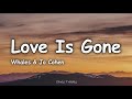 Whales  jo cohen  love is gone lyrics