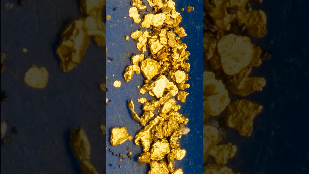 В каком песке больше всего золота?