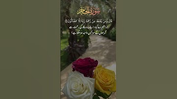 سورة الحجر:55,56