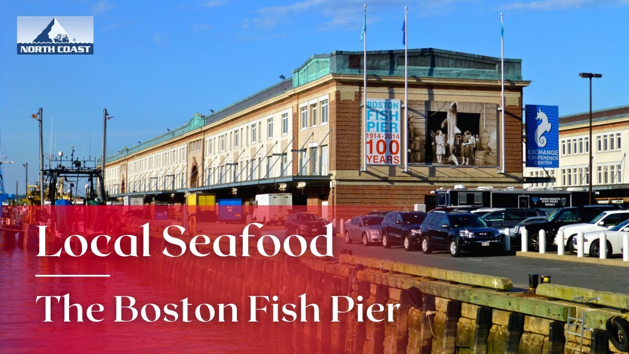 Local Seafood at the Boston Fish Pier with North Coast Seafoods YouTube
