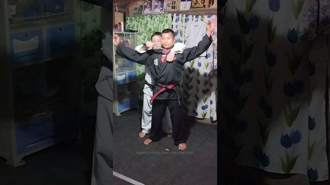 BIHIND THE BODY TECHNIQUE COMBAT HAPKIDO STYLE