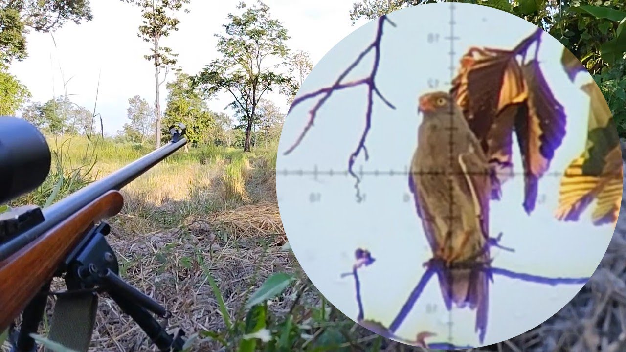 ขึ่นโคกเลาะหายิงนก